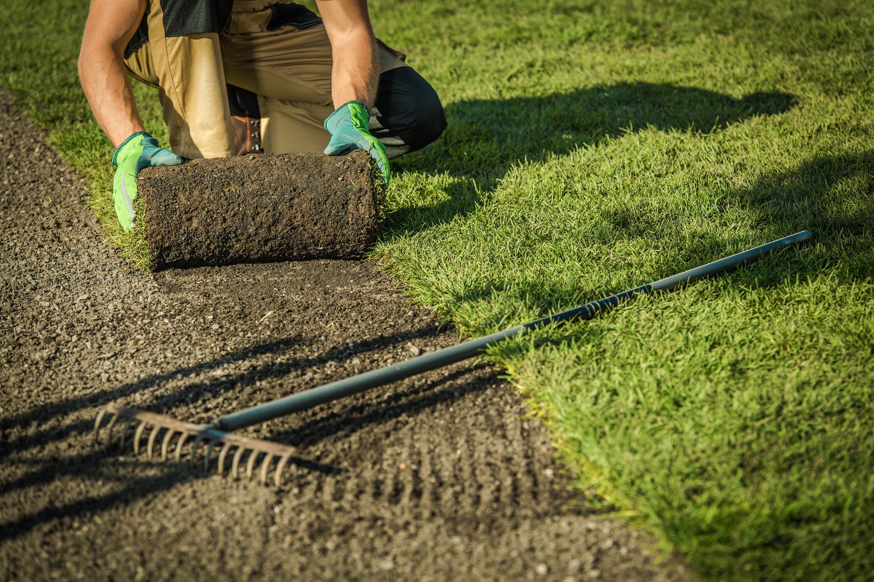 Caucasian Professional Landscaper Lay The Turf. Natural Grass Installation. Gardening Theme.